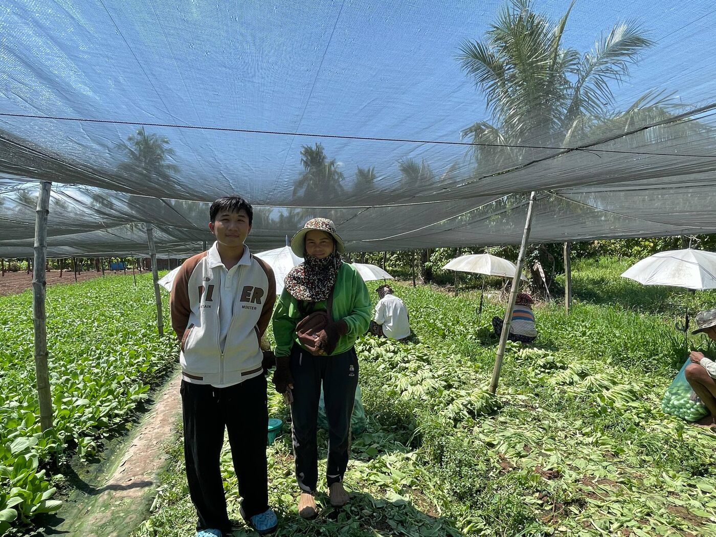 The Chomkar team with a farmer in a bok choy field